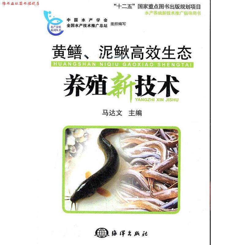 【正版书】 黄鳝、泥鳅高效生态养殖新技术 马达文　主编 海洋出版社