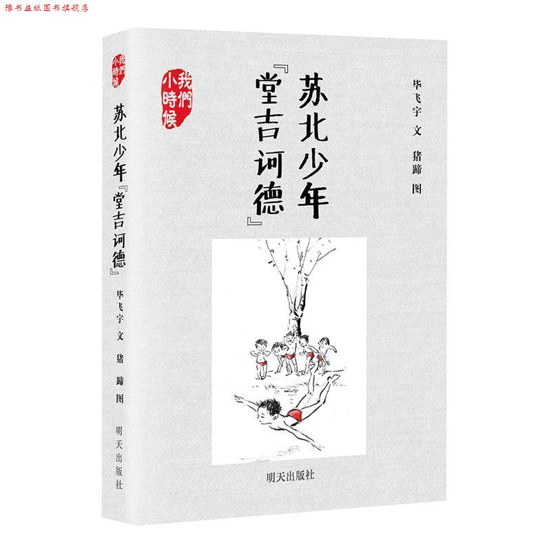 【正版书】 我们小时候 苏北少年“堂吉诃德” 毕飞宇 著 明天出版社