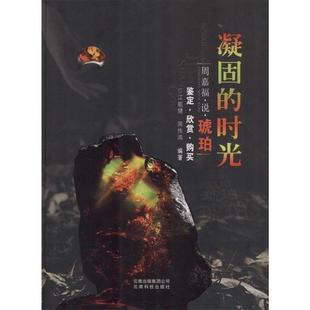 【正版书】 凝固的时光 江能健,周伟鸿 云南科学技术出版社