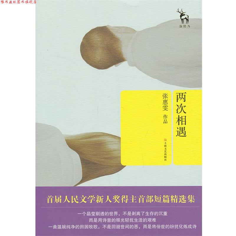 【正版书】 两次相遇 张惠雯 上海文艺出版社