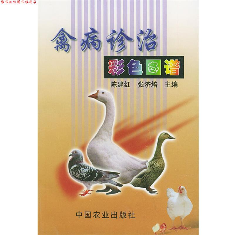 【正版书】 禽病诊治彩色图谱 陈建红,张济培 主编 中国农业出版社