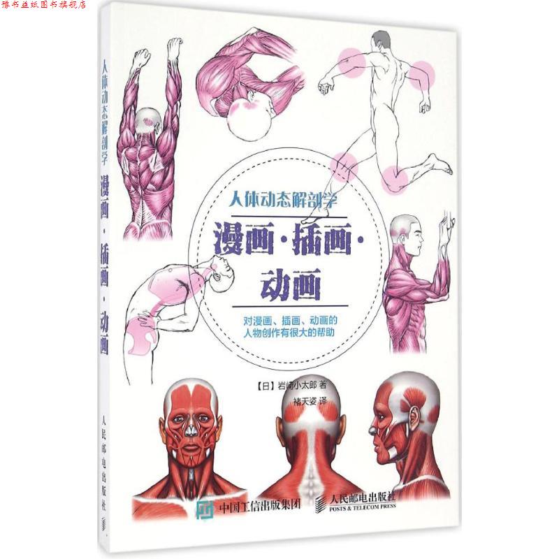 【正版书】 人体动态解剖学 [日] 岩崎小太郎 人民邮电出版社