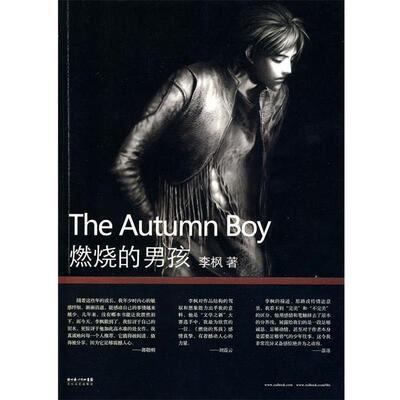 【正版书】 燃烧的男孩 李枫　著 长江文艺出版社