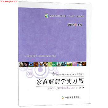 【正版书】 家畜解剖学实习图 杨银凤 编 中国农业出版社