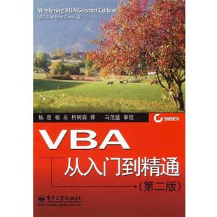 【正版书】 VBA从入门到精通 （美）戴维斯（Davis,G.H.）　著,杨密,杨乐,柯树森　译 电子工业出版社