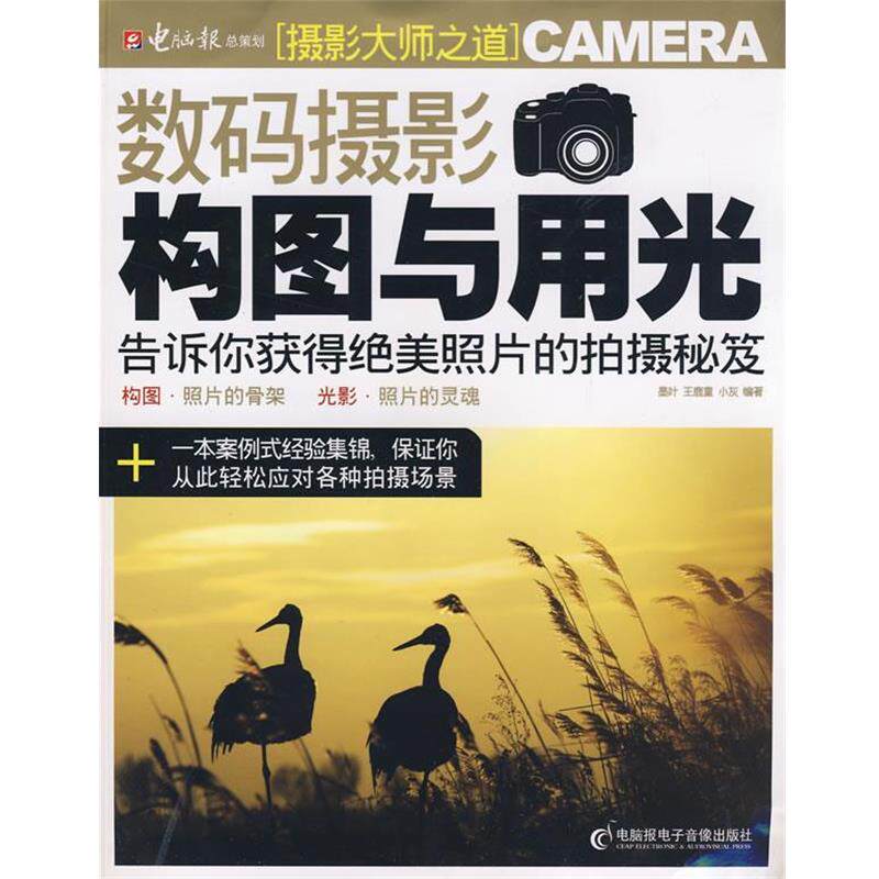 【正版书】 数码摄影构图与用光 墨叶,王鹿童,小灰 暂无