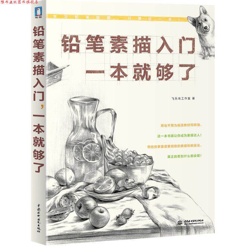【正版书】 铅笔素描入门,一本就够了 飞乐鸟 水利水电出版社