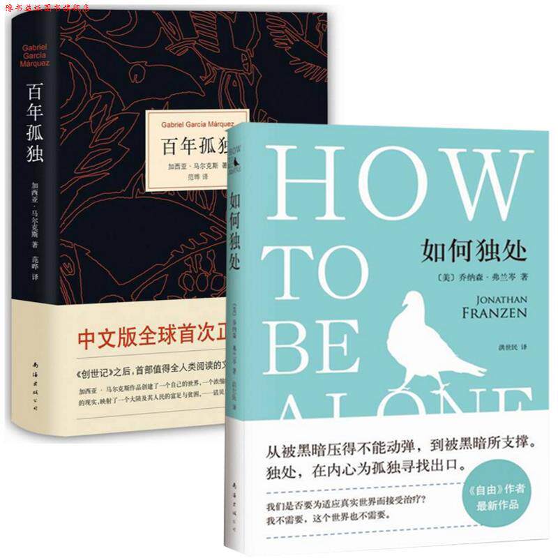 【正版书】 如何独处 乔纳森·弗兰岑 著,洪世民 译 南海出版公司