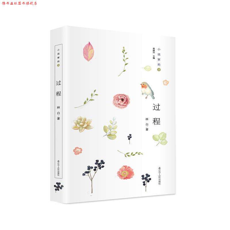 【正版书】 小说家的诗:过程 27年坚守,林白新诗首度结集,达致女性写作新境 林白 辽宁人民出版社
