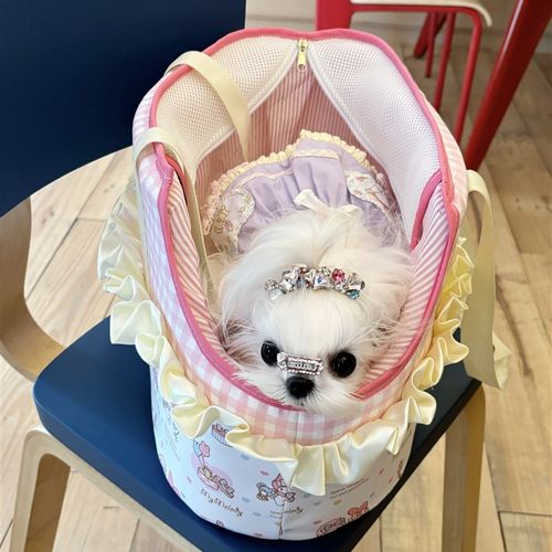 猫袋狗袋夏季宠物郊游便携式四季透气泰迪小狗猫蕾丝手提包