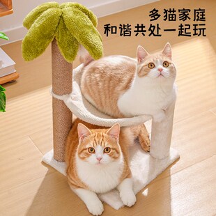 椰子树猫爬架仙人掌猫窝大猫抓柱猫自嗨玩具磨爪耐磨不掉屑小逗猫