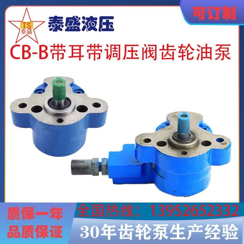 带耳朵调压阀齿轮泵LjRB-6 CB-B10-D CB-B4 CBW-B2.5锯床油泵电机