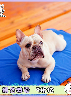 宠物垫子防潮夏季狗床耐咬不粘毛泰迪法斗犬狗窝K&H注水散热垫