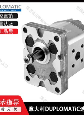 DUPLOMATIC迪普马1P-1.6/2/2.5/3.3/4.2/5/5.8/6.7/7.5R11N齿轮泵