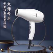 御风之神AIOLOS 8833电吹风机家用理发店发廊美发造型专用吹风筒