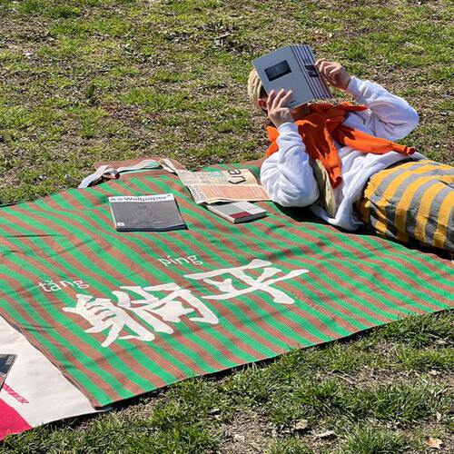 野餐垫防潮垫加厚便携户外折叠草地春游垫子露营地垫音乐节防水款