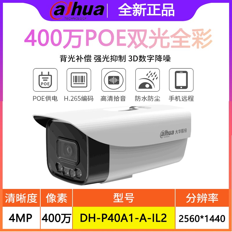 大华200万-400万POE全彩夜视网络摄像头DH-P40A1-A-IL2摄影头监控