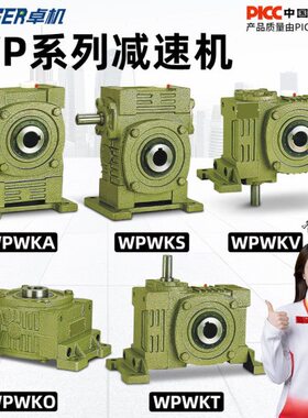 WPWKA/WPWKS/WPWKV/WPWKO/WPWKT 蜗轮蜗杆减速机变速齿轮箱波箱
