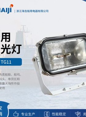 供应 船用不锈钢探照灯 投光灯 船用搜索灯 TG11 TG13