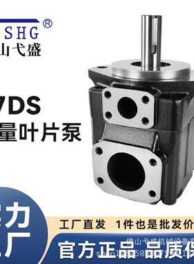 伺服叶片油泵T7DS-B1720222428313538424550-1R00-A1M0