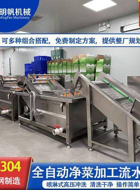 叶菜全套清洗线苹果香梨猕猴桃气泡清洗机酱腌菜清洗去盐设备