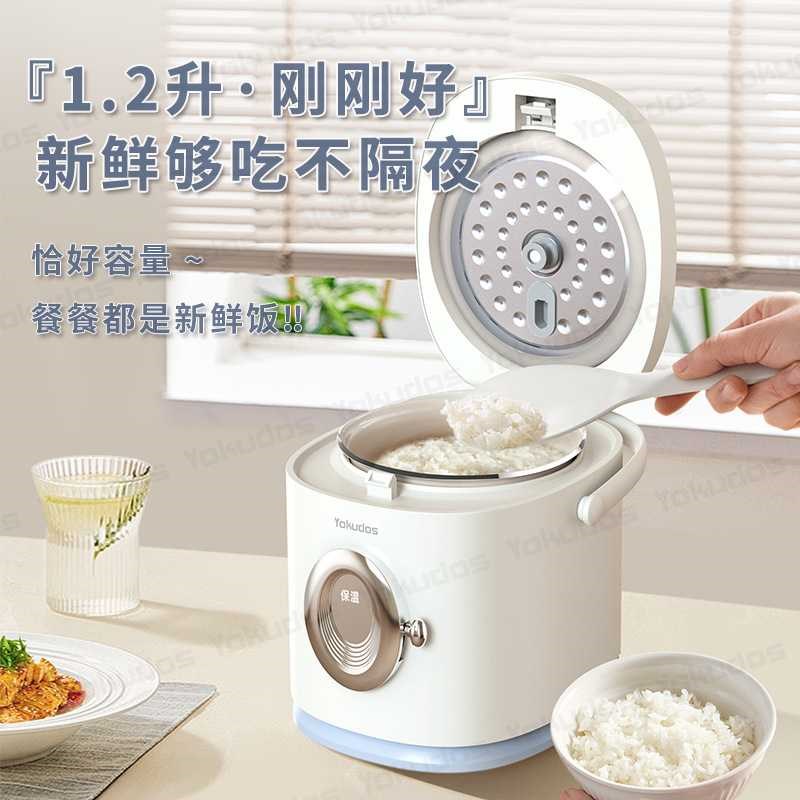 新款迷你电子锅1-2人r小型电饭锅家用多功能电器家电礼品