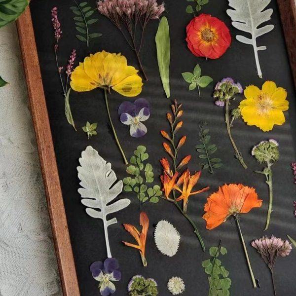 复古自然风干花压花植物标本相框 装饰画 摆挂搬家礼物新房装饰,家居饰品,标本类装饰画,淘宝优惠券,粉丝福利购,淘宝优惠卷