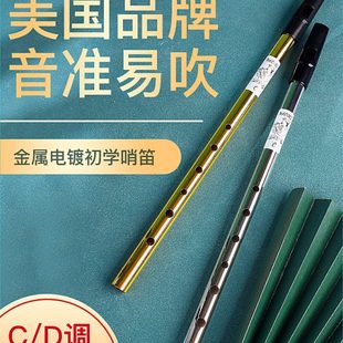 哨笛爱尔兰初学者入门演奏金属直笛6孔CD调高音专业演奏竖笛乐器