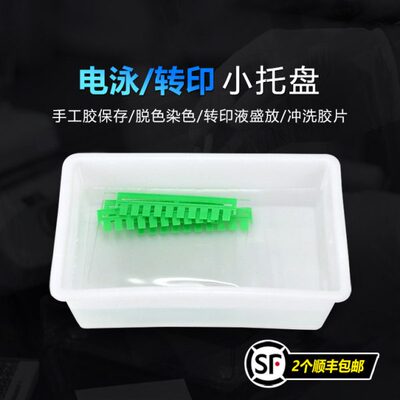 Western blot 通用托盘方盒 电泳存胶转印脱色染色 显影冲洗胶片