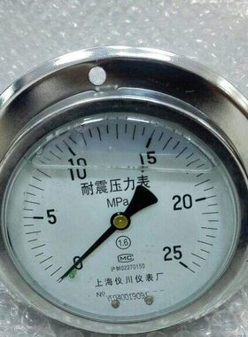 轴向带边耐震压力表 YN-100ZT 0-25mpa 直径100mm 上海仪川仪表厂