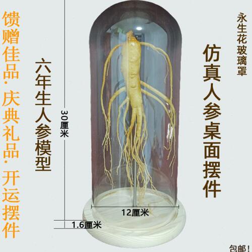 透明玻璃罩人参摆件室内装饰品店铺人参展示品馈赠礼品工艺品