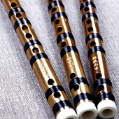 独孤九笛古风民族乐器笛子考级练习音准