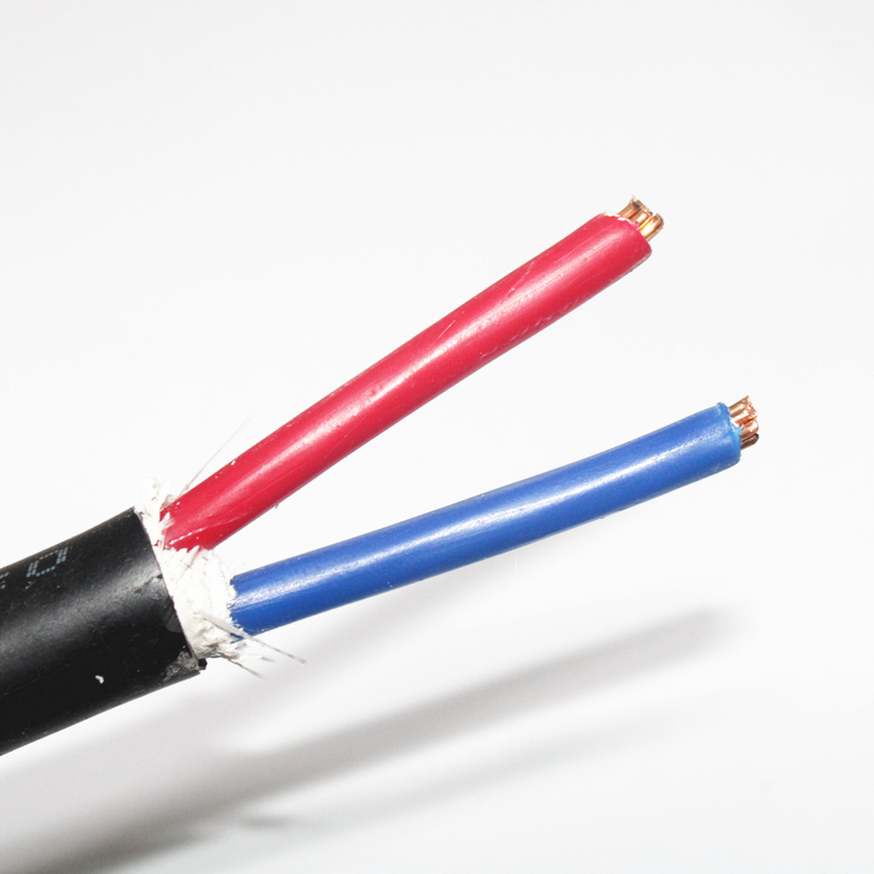 正泰电线ZCYJV2*10平方阻燃电力电缆0.6/1kv2芯全铜芯国标电源线