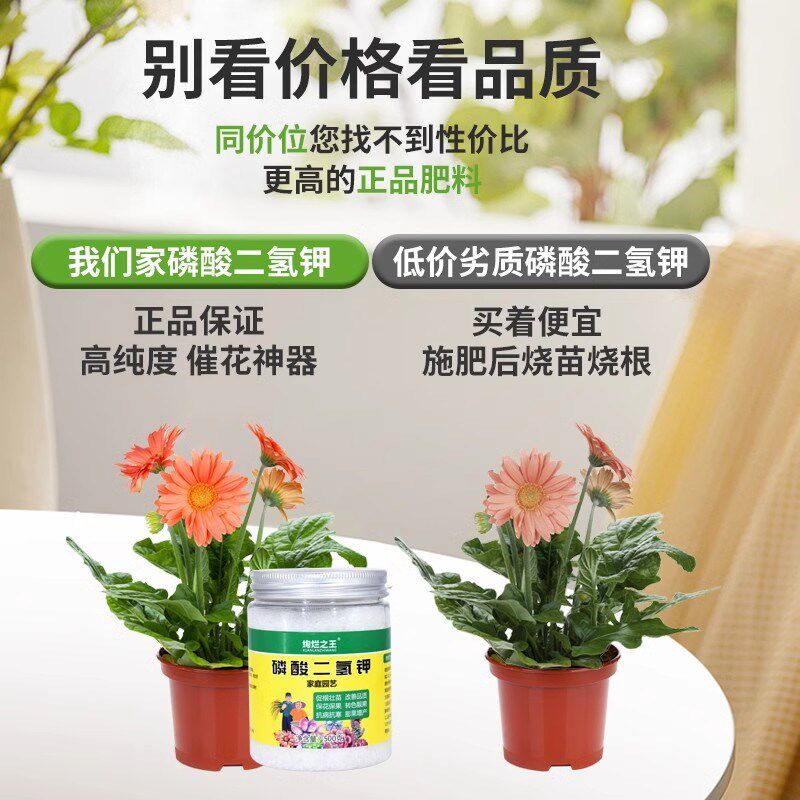 磷酸二氢钾家用壮根促果促花卉盆栽水溶肥农用园艺大包磷钾催花肥