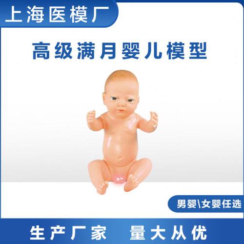 高级满月婴儿模型柔软可爱宝宝模型月嫂产科护士练习模型男女婴儿