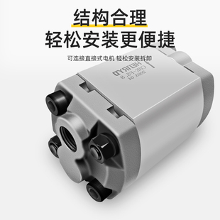 4.2 1.3 2.5 3.2 2.1 1.0 1.6 5.8 CBK微型齿轮泵CBK 3.7 F0.8