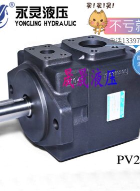 YLC仙居永灵定量叶片泵PV2R3-52F1 PV2R3-60 66 76 94F低噪音油泵