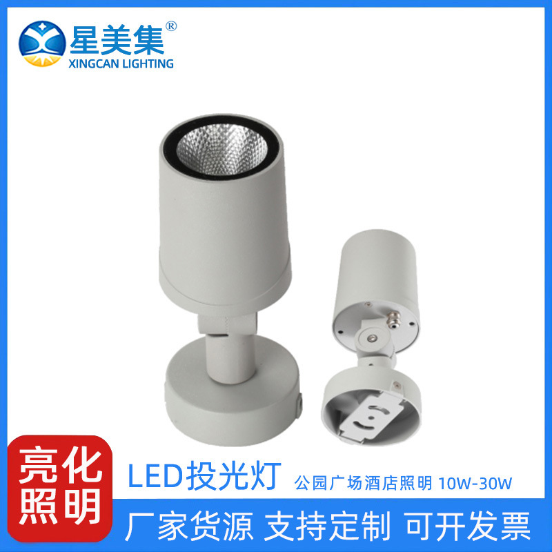 10W20W30W户外公园别墅花园LED彩色公园假山照树防水投光灯