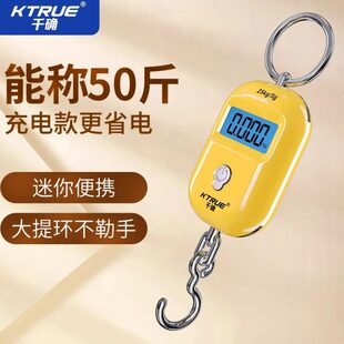 精准迷你手提电子秤高精度家用小型便携式吊秤弹簧秤钩称食物称克