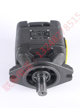 HG0/HG1/HG2-13 16 25 32 40 50 63-01R-VPC内啮合齿轮泵厂家现货