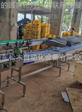 麒西瓜量麟分选格机重 FEV选果机 厂家直供 经济耐用 价实惠