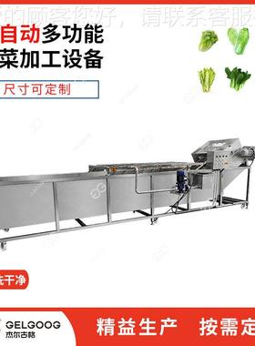 生不钢空心菜清洗设备产厂家 自动洗锈蔬机械 叶菜洗菜机ELO菜器