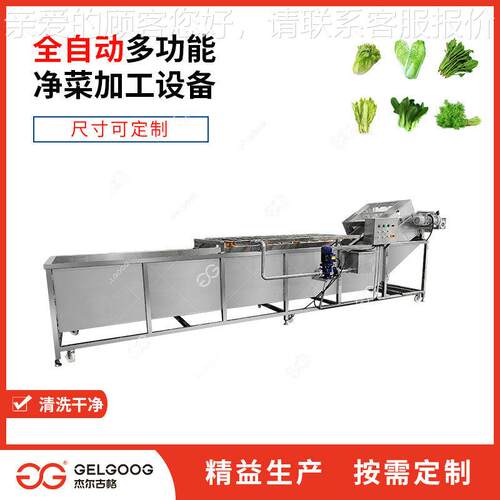 生不钢空心菜清洗设备产厂家 自动洗锈蔬机械 叶菜洗菜机ELO菜器