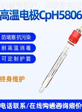 高玻璃P电极K8S传感发酵罐温S器K9线缆无HCPH5806机在线