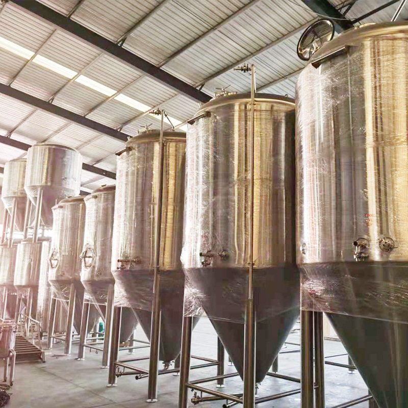 济南正麦供应家用酿酒设备 小型精酿啤酒设备 发酵罐 一体机