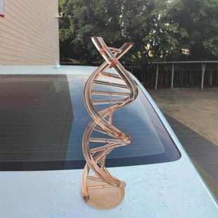 亚克力管热弯  异形螺旋造型摆件DNA模型 来图来样
