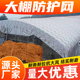 轮胎线货车网绳网罩防护网耐磨尼龙网封车网子大棚用网加粗安全网