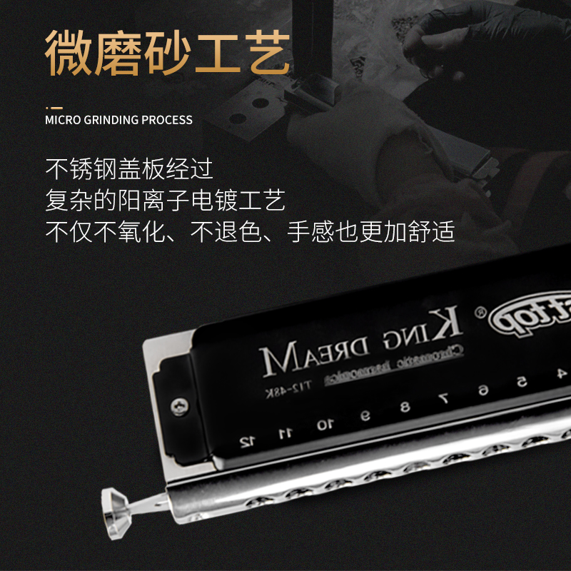 EASTTOP东方鼎T12-48K金色梦想者1H2孔半音阶练习专业演奏口琴初