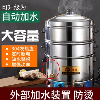 不锈钢商用电蒸笼大容量电蒸锅多功能全自动大型电煮锅家用大蒸格