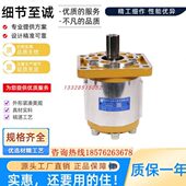 BFP F540 F563 合肥长源齿轮泵CBN F520 F550 F525 BFH F532 F516